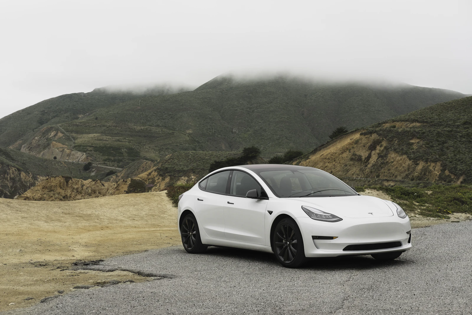 EV Car Showroom & Distribution Network